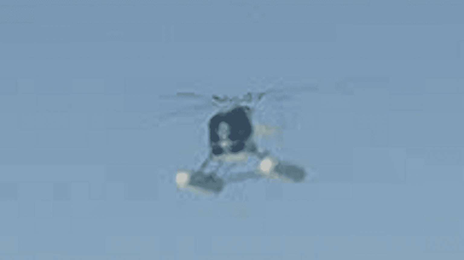 Sea Sparrow